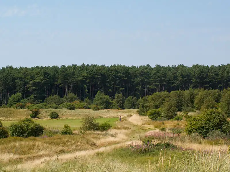 De prachtige natuur op Ameland