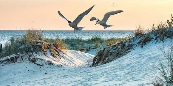 Der herrliche Borkumer Strand gehört zu den schönsten Sehenswürdigkeiten der Nordseeinsel