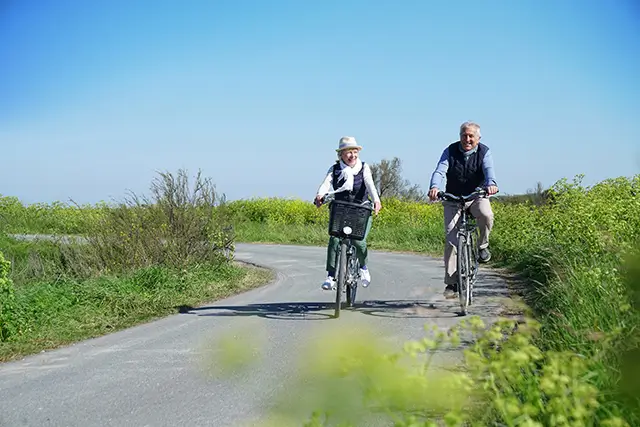Bij de fietsverhuur op Terschelling heb je keuze uit verschillende typen fietsen