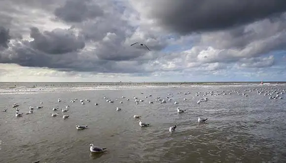 Doeksen afvaarten Vlieland