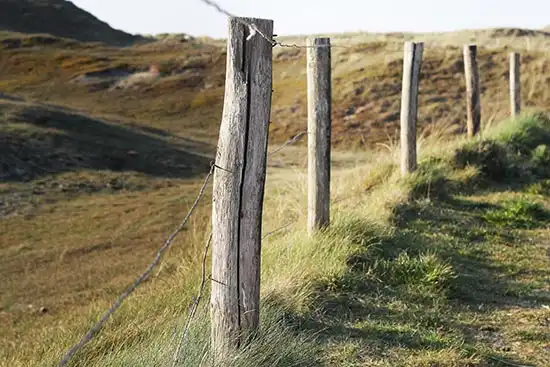 Overnachten in de mooie omgeving van Zandvoort