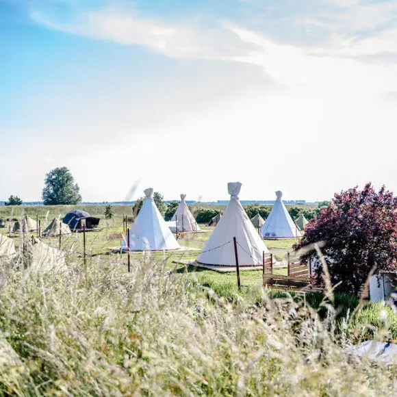 Tinyparks Tiengemeten | kamperen Texel | ANWB
