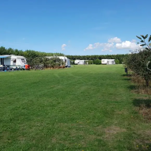 Minicamping De Zeeuwse Vlag | kamperen Texel | ANWB
