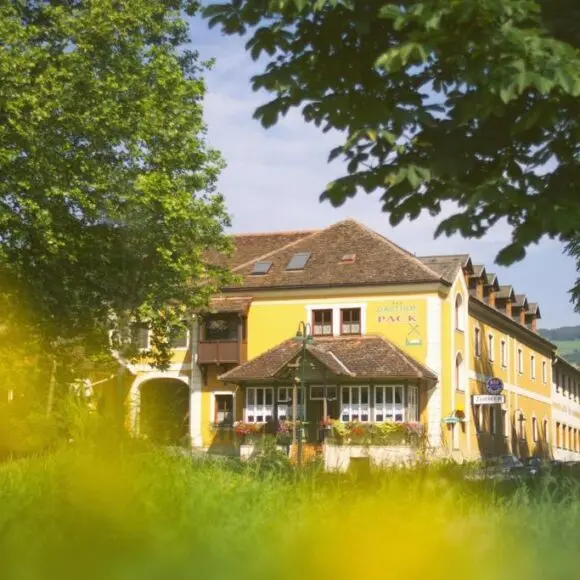 Gasthof Pack “Zur Lebing Au” | budget Oostenrijk | Booking.com