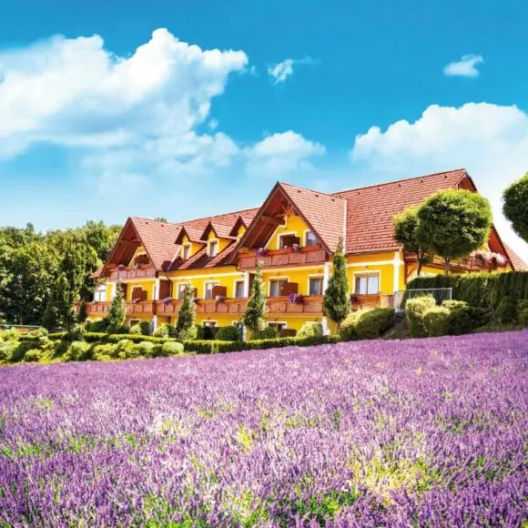 Maria Theresien Hof Loipersdorf | hotel Oostenrijk | Booking.com