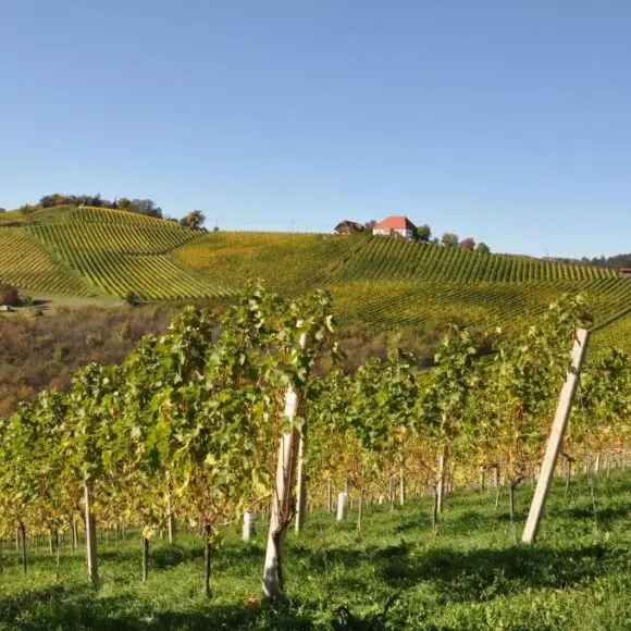 Weingut Kögl | vakantiehuis Oostenrijk | Booking.com