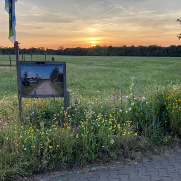 Camping De Boomgaard | kamperen Marker Wadden | ANWB
