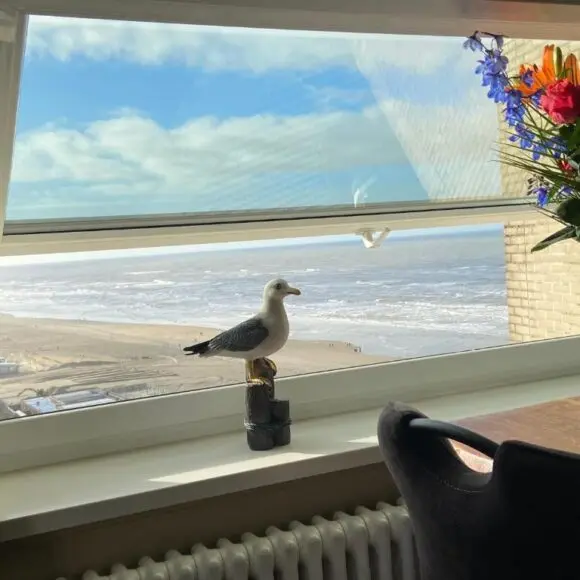 Apartment Malisa | vakantiehuis Zandvoort | Booking.com