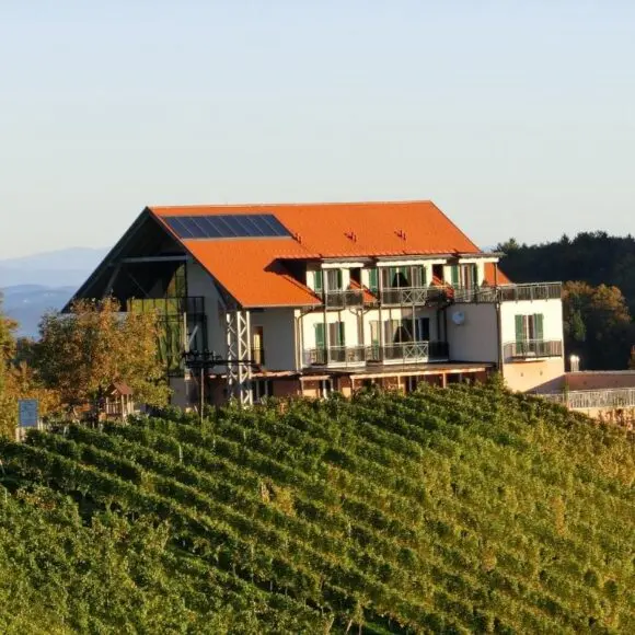 Zweytick Gästezimmer Weingut | budget Oostenrijk | Booking.com