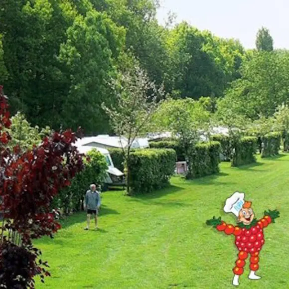 Camping De Betuwe Hoeve | kamperen Marker Wadden | ANWB