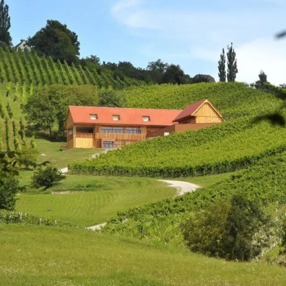 Vino Valdhuber Apartments | vakantiehuis Oostenrijk | Booking.com