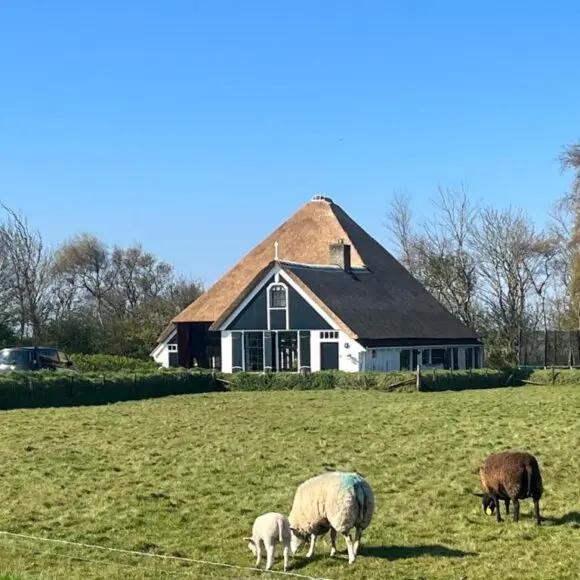 Zuid Haffel | vakantiehuis Texel | Booking.com