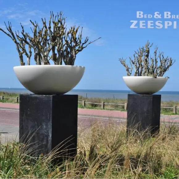 B&B Zeespiegel | vakantiehuis Zandvoort | Booking.com
