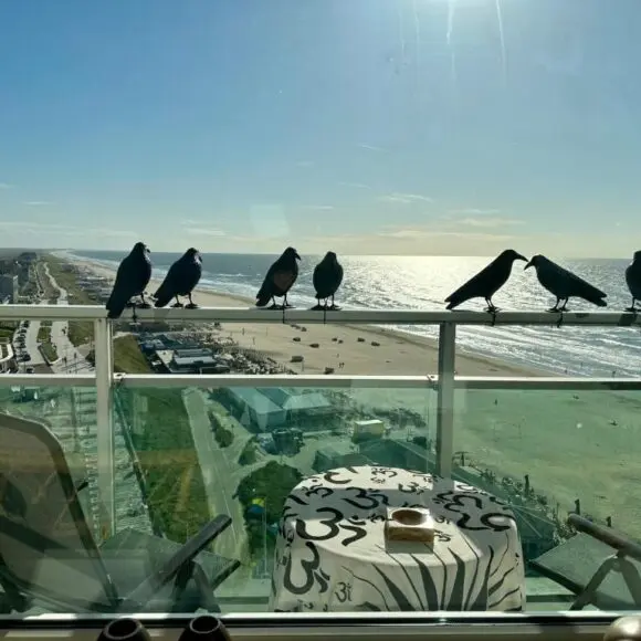 Studio Lola Love | vakantiehuis Zandvoort | Booking.com