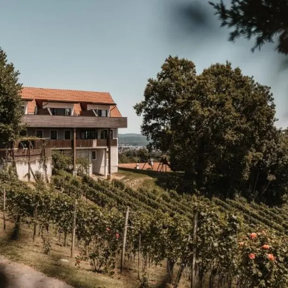 Weingut Assigal | vakantiehuis Oostenrijk | Booking.com