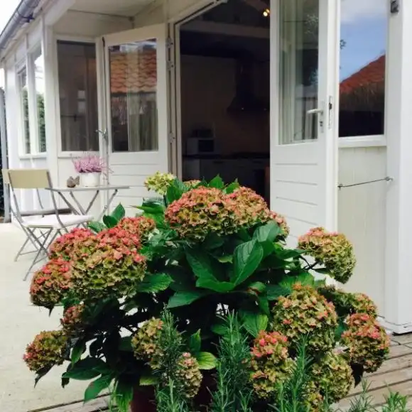 Tiny House Madame Jeanette | vakantiehuis Zandvoort | Booking.com