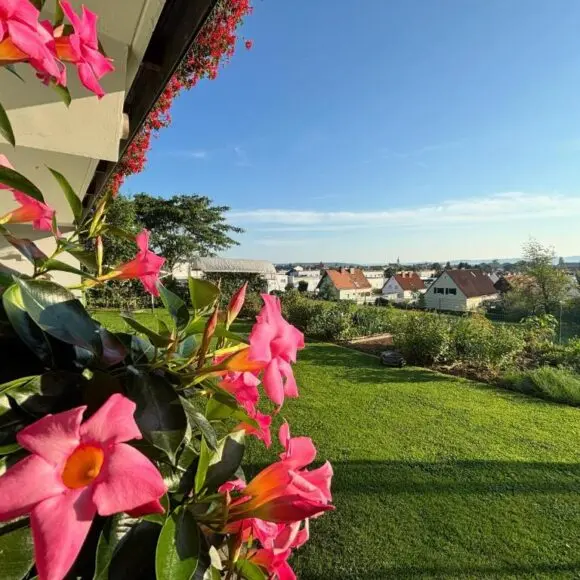 Ferienzimmer Trummer | budget Oostenrijk | Booking.com