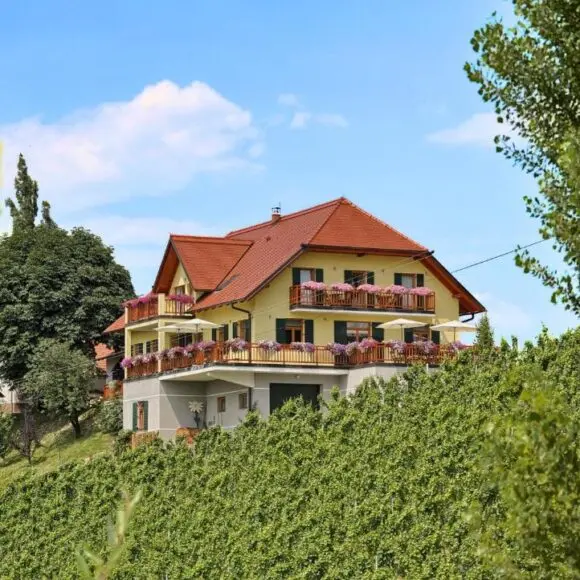 Farm Stay Jarc Vineyard | vakantiehuis Oostenrijk | Booking.com