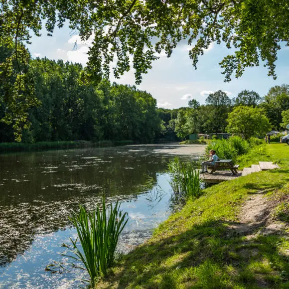 EuroParcs Het Amsterdamse Bos | kamperen Texel | Eurocampings