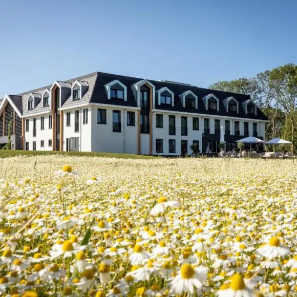 Eilandhotel Texel – Nieuw geopend hotel | hotel Texel | Booking.com