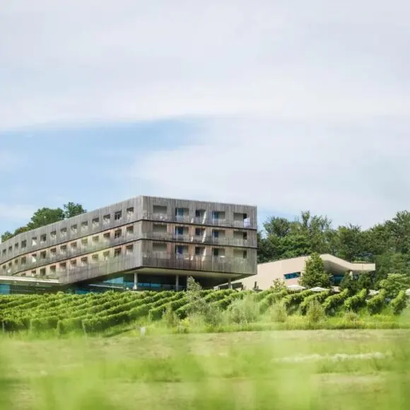 LOISIUM Wine & Spa Hotel Südsteiermark | vakantiehuis Oostenrijk | Booking.com