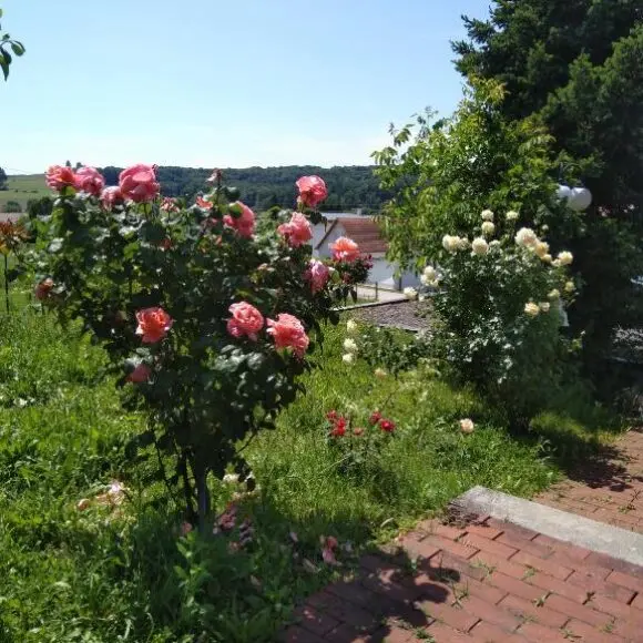 Haus Orleander | vakantiehuis Oostenrijk | Booking.com
