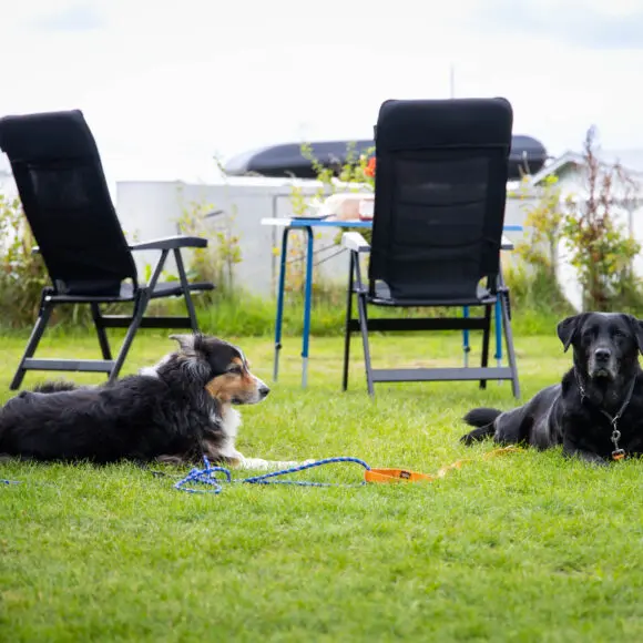 Camping Waddenzee | kamperen Texel | ANWB