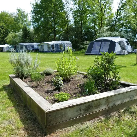 Camping Padjelanta | kamperen Schiermonnikoog | ANWB