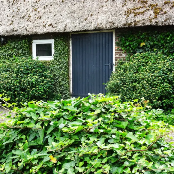 Kleine Camping De Duin | kamperen Marker Wadden | ANWB