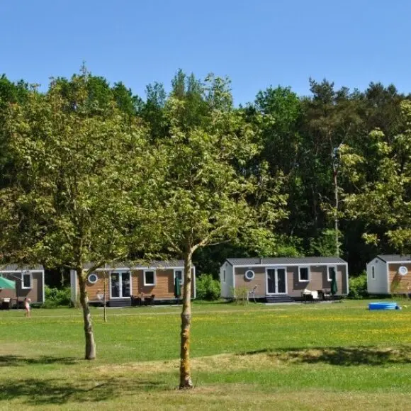 Camping De Reeënwissel | kamperen Schiermonnikoog | ANWB