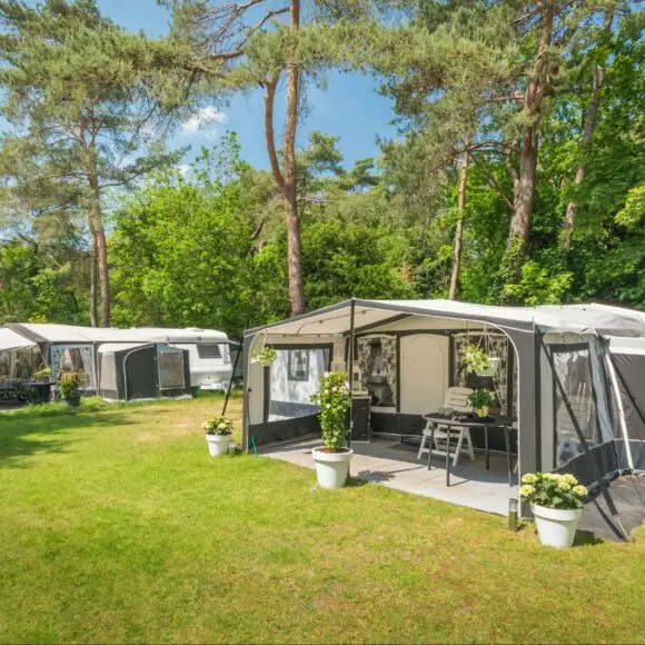 Bos Park Bilthoven | kamperen Marker Wadden | ANWB