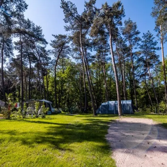 Buitencentrum Hessenheem | kamperen Marker Wadden | ANWB