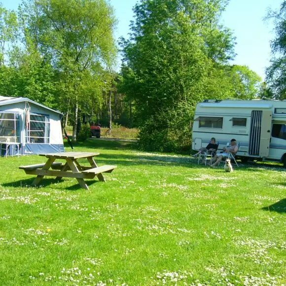 Camping De Bosrand In Spier | kamperen Ameland | ANWB