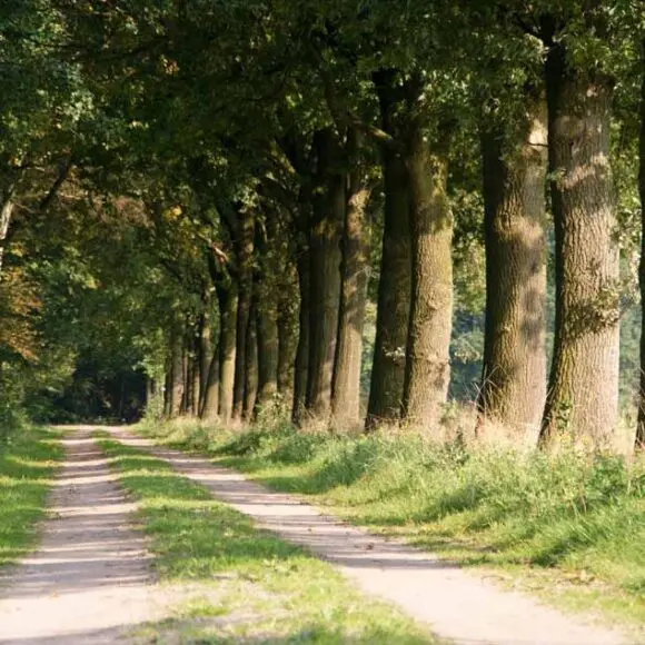 Camping De Kei | kamperen Marker Wadden | ANWB