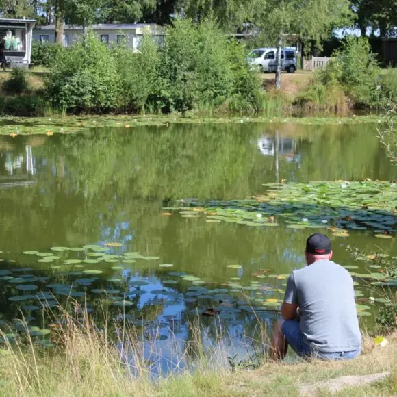 Camping De Otterberg | kamperen Ameland | ANWB