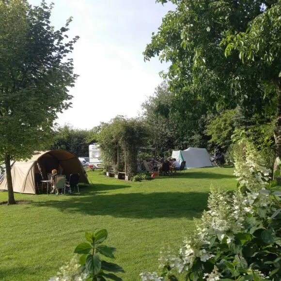 Camping De Vos | kamperen Marker Wadden | ANWB