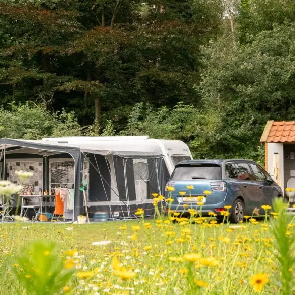 Camping Goorzicht | kamperen Marker Wadden | ANWB