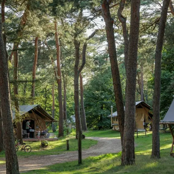 Camping Huttopia De Veluwe | kamperen Marker Wadden | ANWB