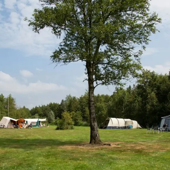 Ardoer Camping It Wiid | kamperen Ameland | ANWB