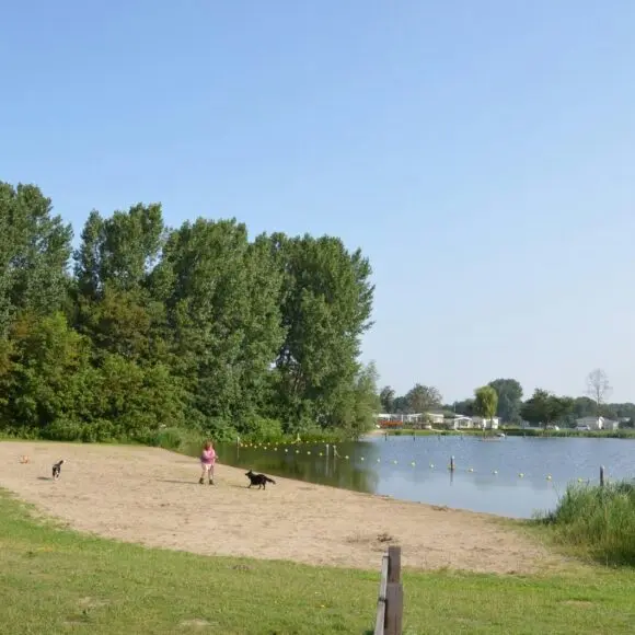 Camping & Jachthaven De Meeuw | kamperen Texel | ANWB