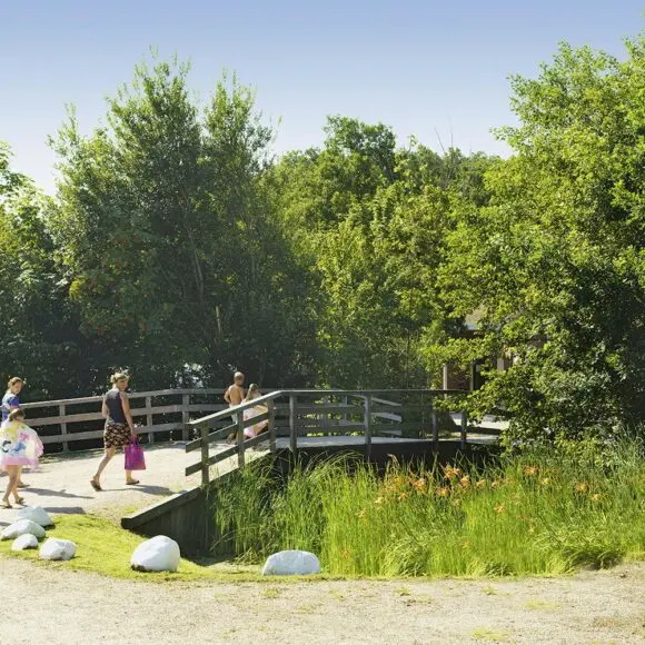 Camping Marvilla Parks Friese Meren | kamperen Vlieland | ANWB