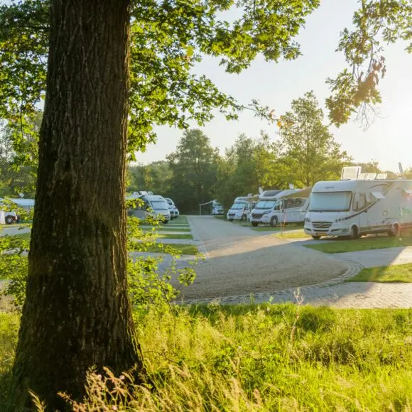 Camping Vreehorst | kamperen Marker Wadden | ANWB