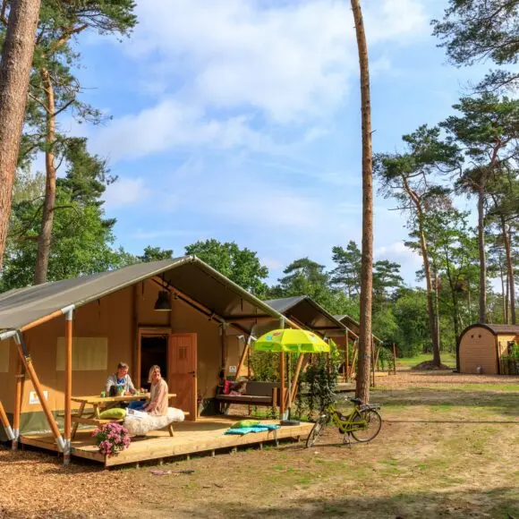 Ardoer Camping De Haeghehorst | kamperen Marker Wadden | ANWB