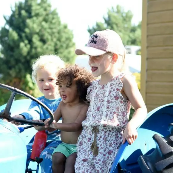 Camping 't Weergors | kamperen Texel | ANWB