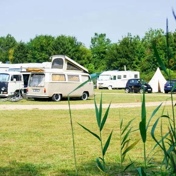 Camping 't Weergors | kamperen Texel | ANWB