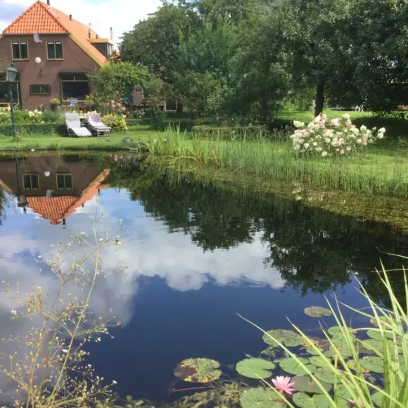 Landgoedcamping Boerderij De Vrije Geest | kamperen Marker Wadden | ANWB