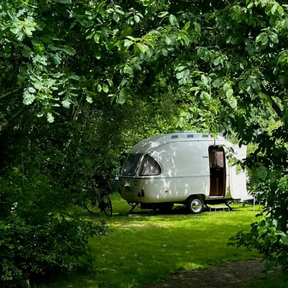 Natuurkampeerterrein Laaghalerveld | kamperen Ameland | ANWB