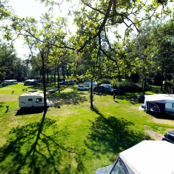Park Drentheland | kamperen Ameland | ANWB