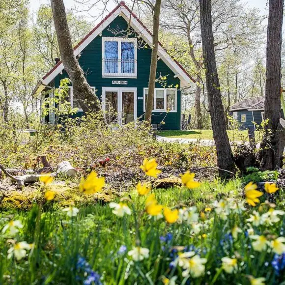 Vakantiehuis Kijkduin | vakantiehuis Terschelling | Terschelling Recreatie