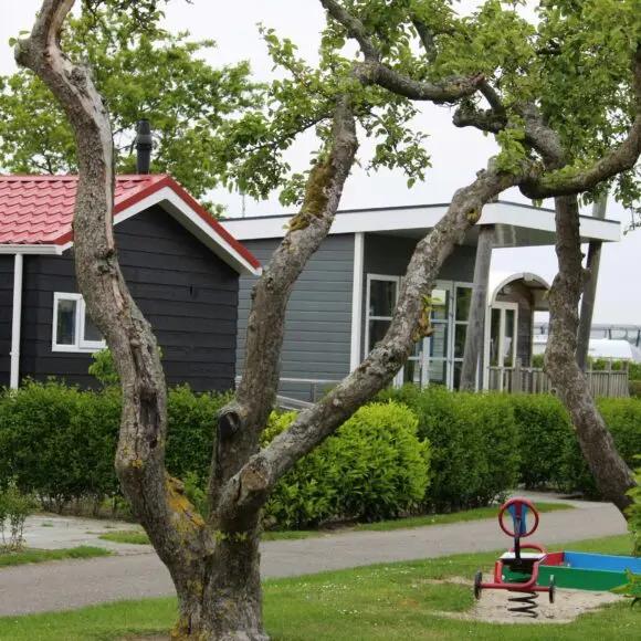 Siblu Camping In De Bongerd | kamperen Texel | ANWB